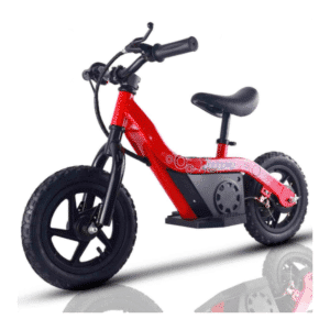 CENTRALITA BICICLETA ELECTRICA 100W IMR - Imagen 2