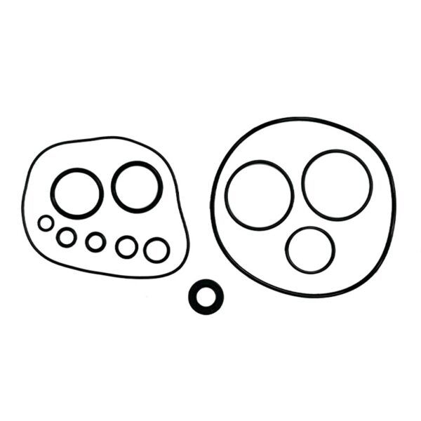 juego-retenes-toricas-motor-110z.jpg