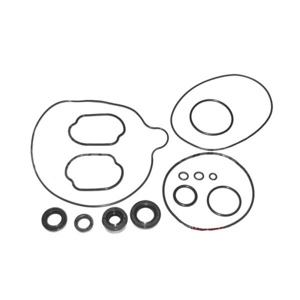 juego-retenes-toricas-motor-155z.jpg