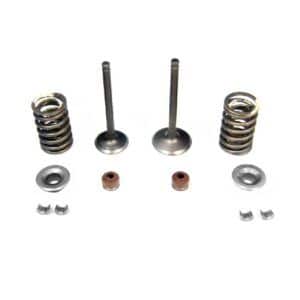 KIT VALVULAS Y MUELLES MOTOR 110Z - Imagen 1