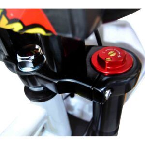 PITBIKE IMR CORSE 155 RR GAMA EVOLUTION 2K24 - Imagen 5