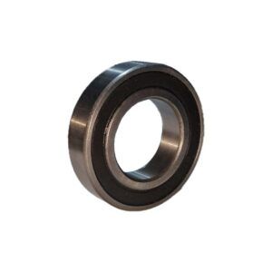 RODAMIENTO 6006 RS (55X30X13) - Imagen 1