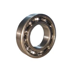RODAMIENTO 6006 P63 (55X30X13) - Imagen 1